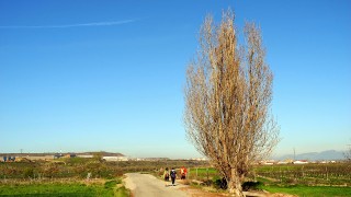 Arrúbal - Logroño